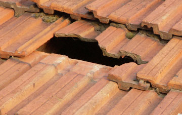 roof repair Trowse Newton, Norfolk