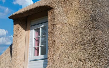 Trowse Newton thatch roof disadvantages